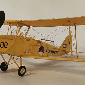 FF_TIGER_MOTH_064