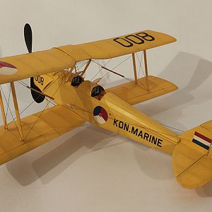 FF_TIGER_MOTH_065