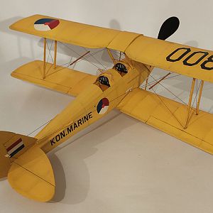 FF_TIGER_MOTH_066