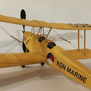 FF_TIGER_MOTH_067