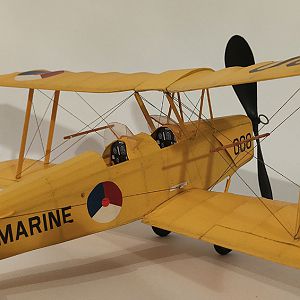 FF_TIGER_MOTH_068