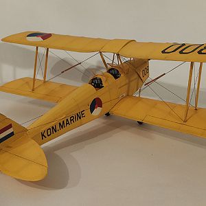 FF_TIGER_MOTH_071