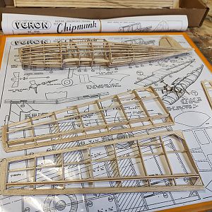 Veron_Chipmunk_016
