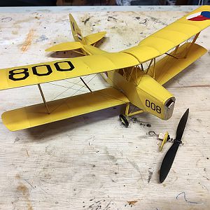 FF_TIGER_MOTH_073