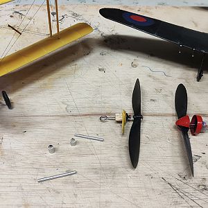 FF_TIGER_MOTH_074