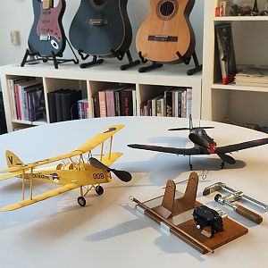 FF_TIGER_MOTH_081