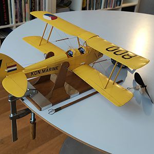 FF_TIGER_MOTH_082