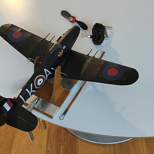 FF_TIGER_MOTH_083