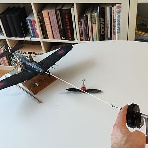 FF_TIGER_MOTH_084