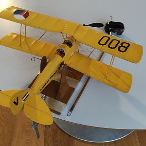 FF_TIGER_MOTH_085