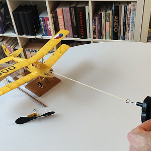 FF_TIGER_MOTH_086