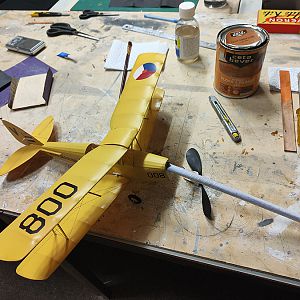 FF_TIGER_MOTH_093
