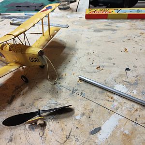 FF_TIGER_MOTH_096