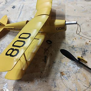 FF_TIGER_MOTH_098