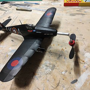 FF_TIGER_MOTH_099