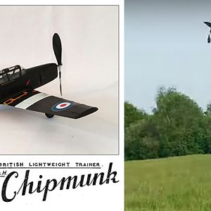 Chipmunk
