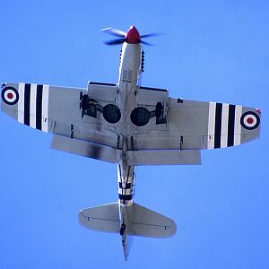 Fairey_Firefly-005