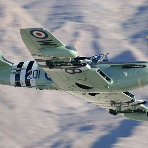 Fairey_Firefly-008