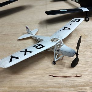 PEANUT_MOTH__071