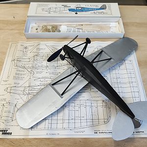 H_PUSS_MOTH__041