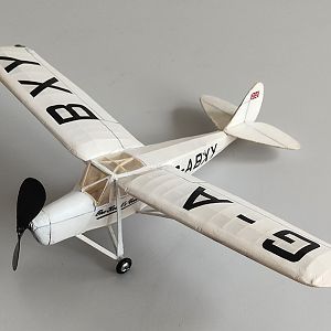 PEANUT_MOTH__078