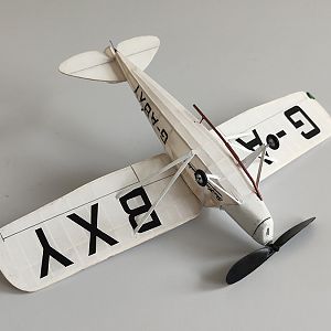 PEANUT_MOTH__080