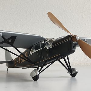 H_PUSS_MOTH__068