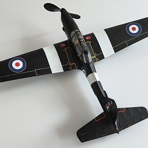 Aerographics_Chipmunk-131