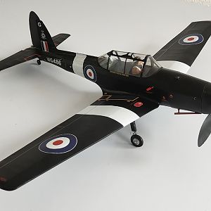 Aerographics_Chipmunk-132