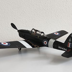 Aerographics_Chipmunk-134