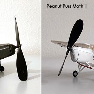 PEANUT_MOTH__086