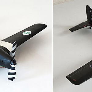 Aerographics_Chipmunk-138