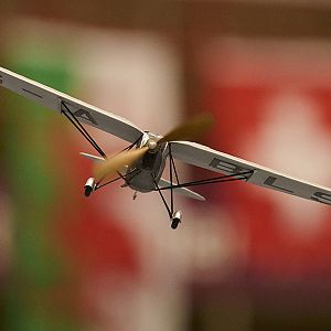DH_PUSS_MOTH__080