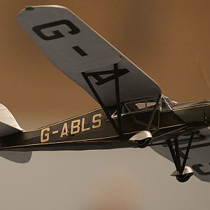 DH_PUSS_MOTH__081
