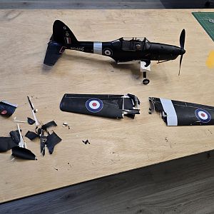Aerographics_Chipmunk-143