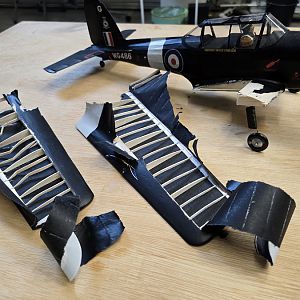 Aerographics_Chipmunk-144