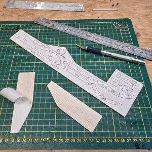 Westland_Widgeon__004.jpg