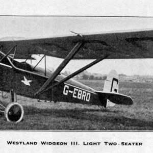 Westland_Widgeon__007.jpg