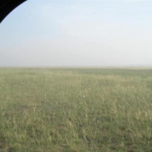 IMG 1499 (Medium)