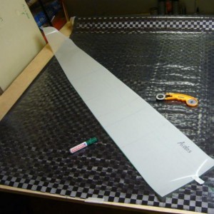 wing 38 carbon cutting