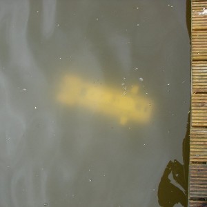 DSC05379