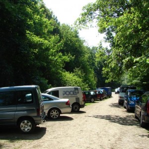 DSC05686