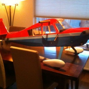 emhw bellanca decathlon met 45 cc zenoah
