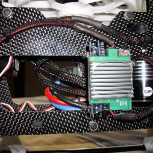 Trex6004