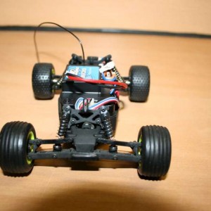 IMG 3105 800