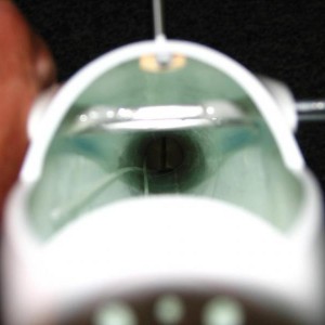 IMG 7835