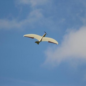 FlyingCloudFlug