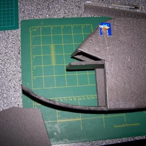 De complete neus verwijderd.