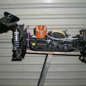8343.jpg