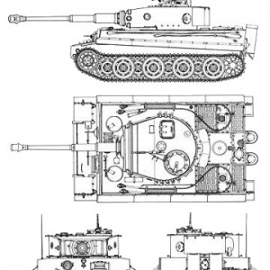 tigerlate